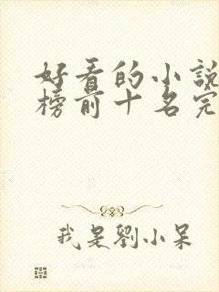 好看的小说排行榜前十名完结