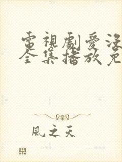 电视剧爱没有错全集播放免费