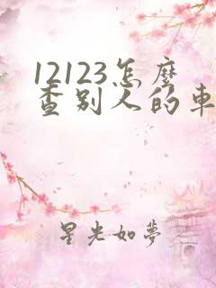 12123怎么查别人的车有没有违章