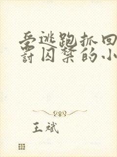 受逃跑抓回药惩罚囚禁的小说