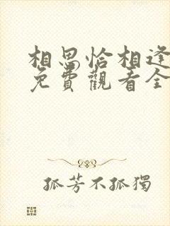 相思恰相逢短剧免费观看全集高清