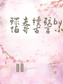 鳏夫续弦by大伯哥古言小说简介