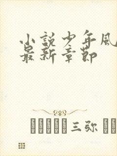 小说少年风水师最新章节