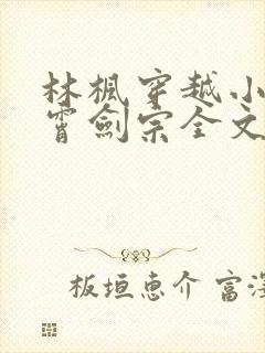 林枫穿越小说神霄剑宗全文阅读578