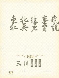 东北往事我叫赵红兵免费观看