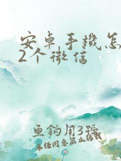 安卓手机怎么下2个微信