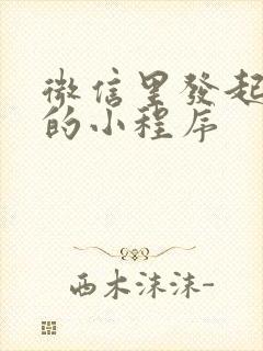 微信里发起投票的小程序