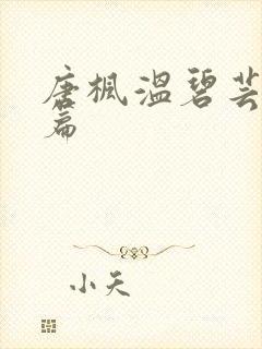 唐枫温碧芸番外篇