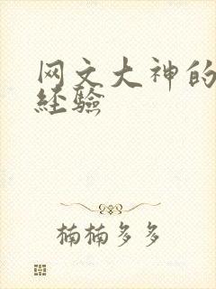 网文大神的写作经验