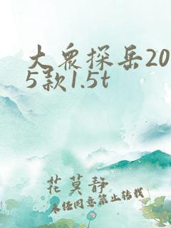 大众探岳2025款1.5t