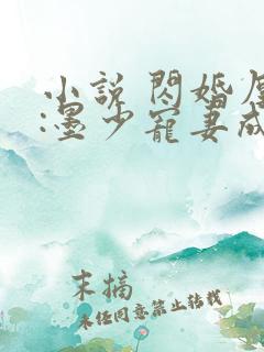 小说 闪婚厚爱:墨少宠妻成瘾