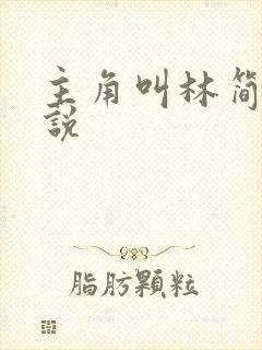 主角叫林简的小说