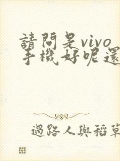 请问是vivo手机好呢还是oppo手机好