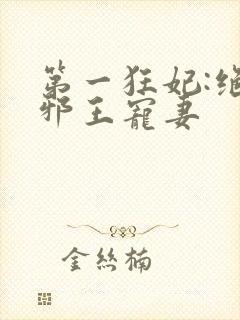 第一狂妃:绝色邪王宠妻