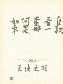 如何查看自己的车是哪一款