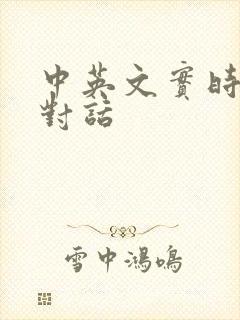 中英文实时翻译对话