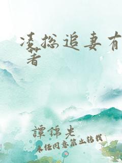 凌总追妻有点甜 著