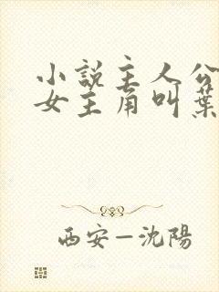 小说主人公林凡女主角叫叶惜