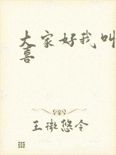 大家好我叫林小喜