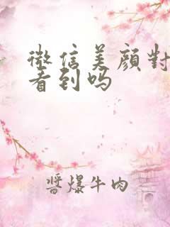 微信美颜对方能看到吗