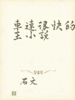 车速很快的双男主小说