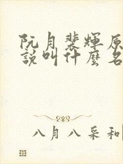 阮月裴辉原著小说叫什么名字