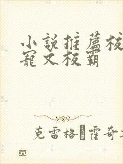 小说推荐校园甜宠文校霸