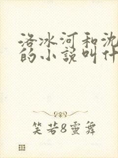 洛冰河和沈清秋的小说叫什么名字