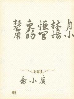 楚东恒林月为主角的官场小说名字