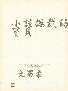 小说总裁的私有宝贝