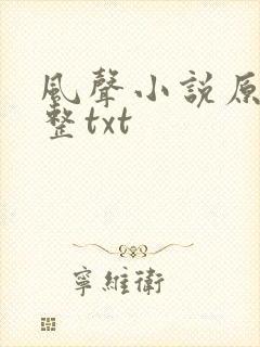风声小说原著完整txt