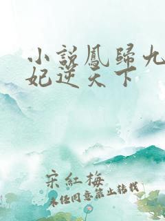 小说凤归九霄狂妃逆天下