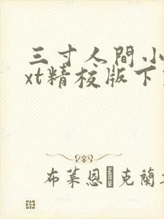 三寸人间小说txt精校版下载