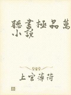 听书极品万岁爷小说