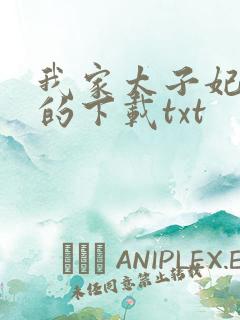 我家太子妃超凶的下载txt
