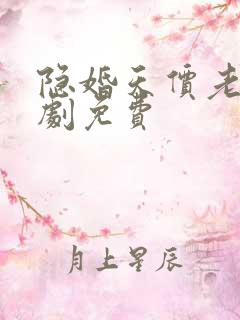 隐婚天价老公短剧免费