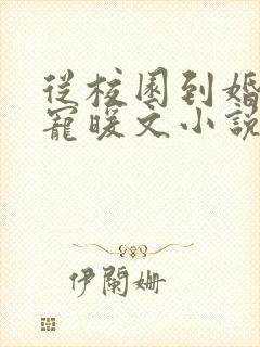 从校园到婚纱甜宠暖文小说