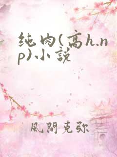 纯肉(高h.np)小说