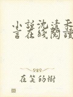 小说沈清禾陆淮言在线阅读