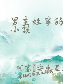 男主姓宁的古代小说