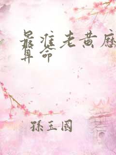 最准老黄历免费算命