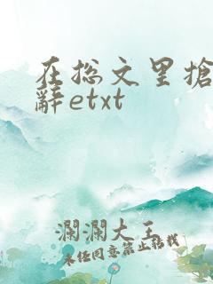 在总文里抢主角辞etxt