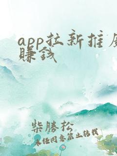 app拉新推广赚钱