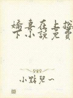 娇妻在上总裁在下小说免费阅读