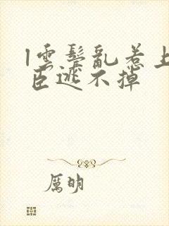 l云鬓乱惹上权臣逃不掉