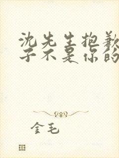 沈先生抱歉,孩子不是你的短剧