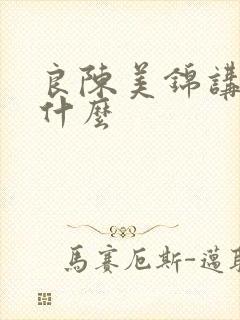 良陈美锦讲的是什么