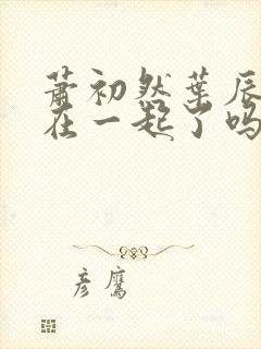 萧初然叶辰最后在一起了吗