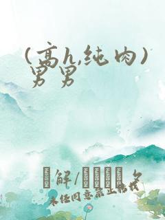(高h,纯肉)男男