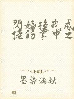 闪婚后我成了大佬的掌中之物》